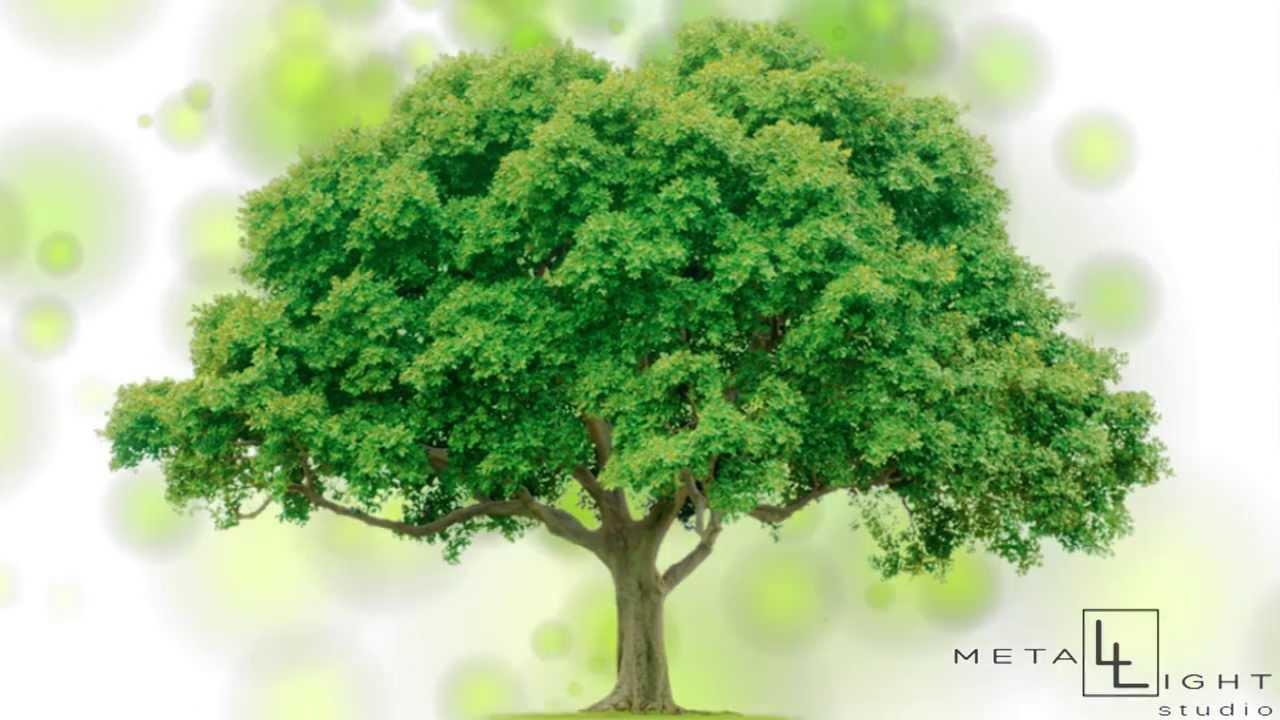 Friends Please Save Trees